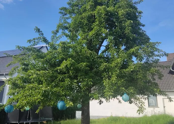 Casa Filada - Ferienort Fuer Alle Laubach (Rhineland-Palatinate)